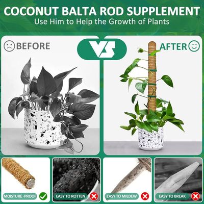 Tuteur Monstera pour Plantes, SproutMaven 60cm x 2 kit de Poteau de Mousse Monstera pour Plantes Grimpantes, Tuteur Coco pour Plantes d'intérieur Tuteur Monstera pour Plantes, SproutMaven 60cm x 2 kit de Poteau de Mousse Monstera pour Plantes Grimpantes, Tuteur Coco pour Plantes d'intérieur