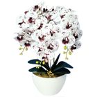 BRAND Fleurs artificielles - Damich - Orchidée Damich Spotted White - 3 branches - Blanc spotté