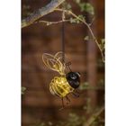 Lampe solaire Abeille - GALIX - 4 LED blanches - 8 heures d'éclairage - Métal et verre