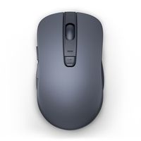 Lenovo WL300 Souris sans Fil Bluetooth Silencieuse, 3 DPI Réglables, Souris Portable Droitiers pour PC et Bureau, Gris