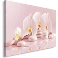 Tableau Décoration Murale galets orchidée rose 60x80 cm Impression sur Toile Tableaux d'intérieur Salon Appartement