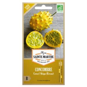 GRAINE - SEMENCE La ferme Sainte Marthe - 20 graines AB - Concombre
