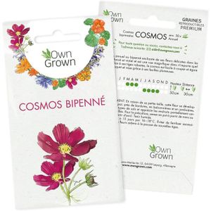 GRAINE - SEMENCE Graines de fleurs comestibles Cosmos Annuel : Kit 