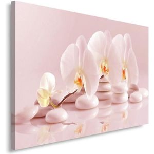 TABLEAU - TOILE Tableau Décoration Murale galets orchidée rose 60x