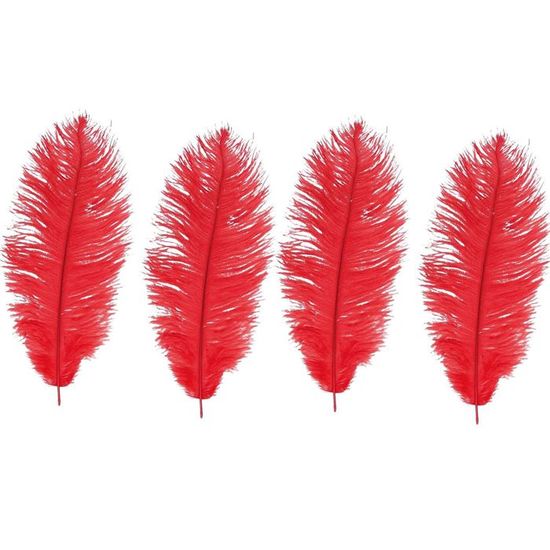 Plume d'autruche rouge - AU FOU RIRE Paris 9