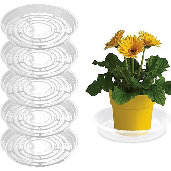 Coupelle Plastique pour Plantes (Lot de 30) - Soucoupe Pot Fleur  Transparente et Réutilisable - Inté