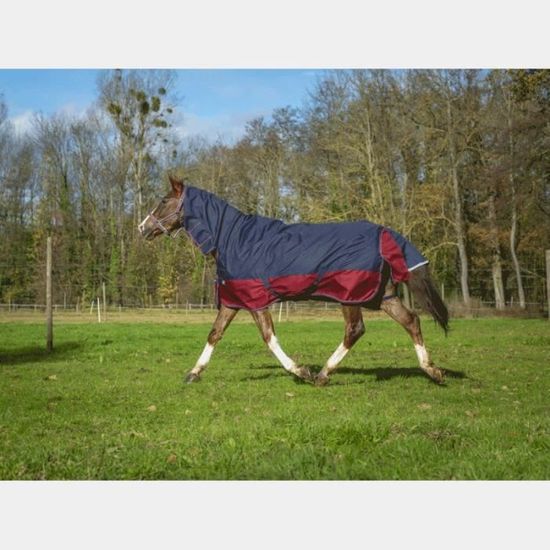 Couverture D’extérieur Pour Cheval EQUITHEME TYREX 1200D – Taille 145 Cm – Imperméable, Respirante – Sangles Croisées, Rabat Queue