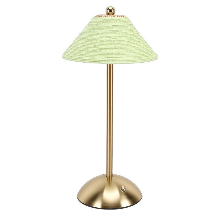 AUCUNE Lampe tissée Lampe de table 3 couleurs sans fil tissé à la main abat-jour en corde de deco poser corde à fleurs (verte)