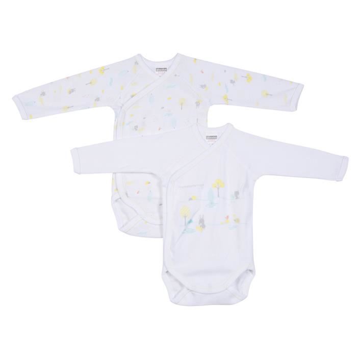 Lot De 2 Bodies Bebe Cache Coeur Manches Longues Mixte Absorba 100 Coton Naturel Blanc Promenons Nous Cdiscount Puericulture Eveil Bebe