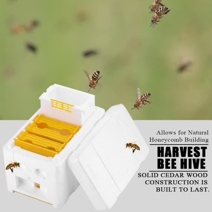 Apiculture Box Harvest Bee Hives Apiculture King Box Boîte De Pollinisation Outil D ...