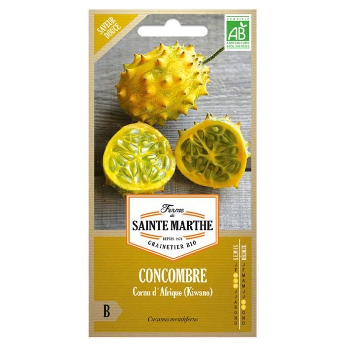 20 Graines De Kiwano (Concombre Cornu D'Afrique) - Fruit Exotique à Cultiver - Plante Grimpante - Cucumis Metuliferus - 8