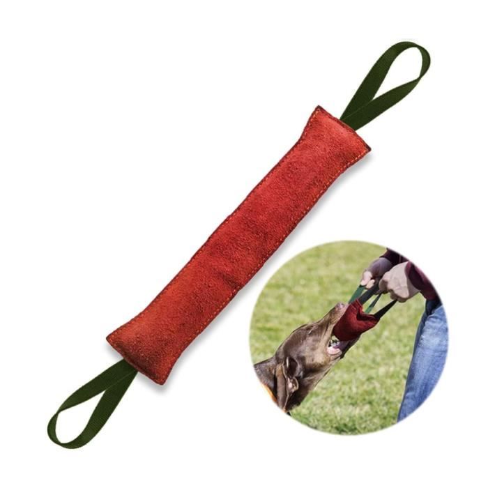 Boudin Mordant Chien Indestructible - yd - 40 cm - Cuir de qualité durable et tuyaux de lance à incendie - Grand