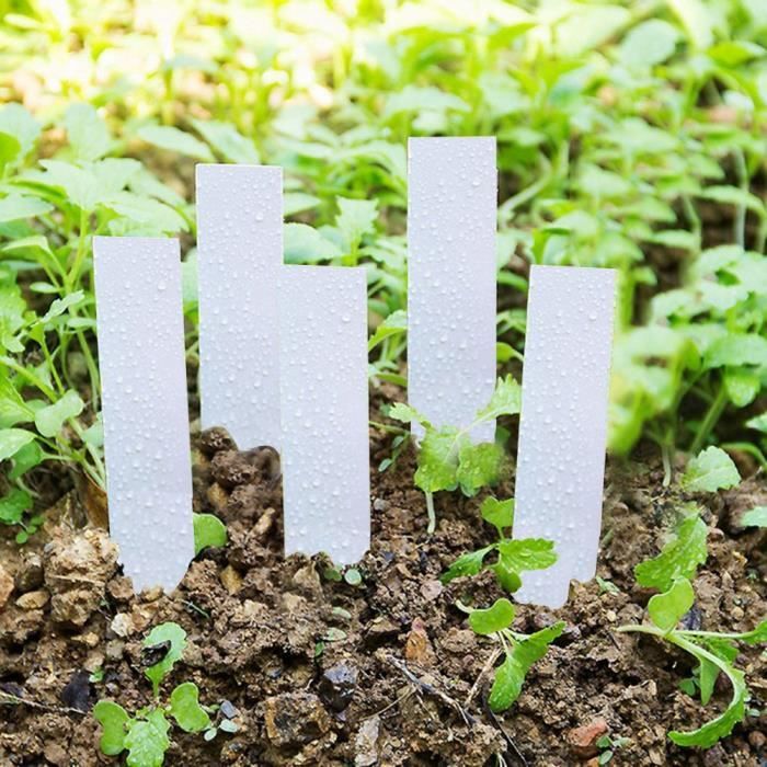Étiquettes De Jardin En PVC Durable - Marqueurs De Plantes Réutilisables, Imperméables, Pour Pots, Semis Et Terre (jaune)