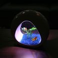 Nobleza - Aquarium design avec fenêtre en verre et lumière LED. Capacité de 4 litres. Couleur blanc.-1