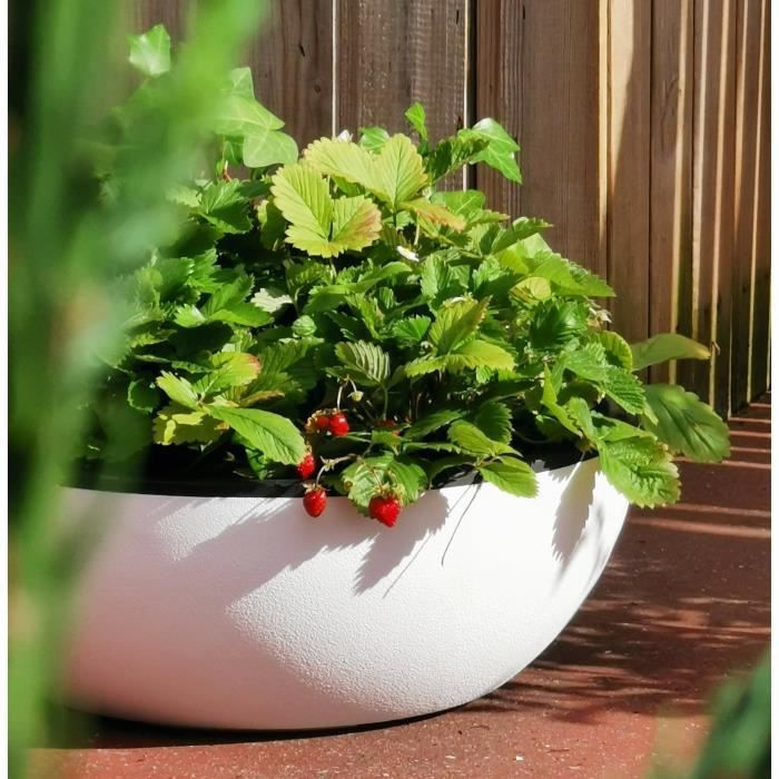 Lot De 6 Soucoupes Pour Pots De Fleurs - 14,9 Cm De Diamètre - En Plastique Rose - 12