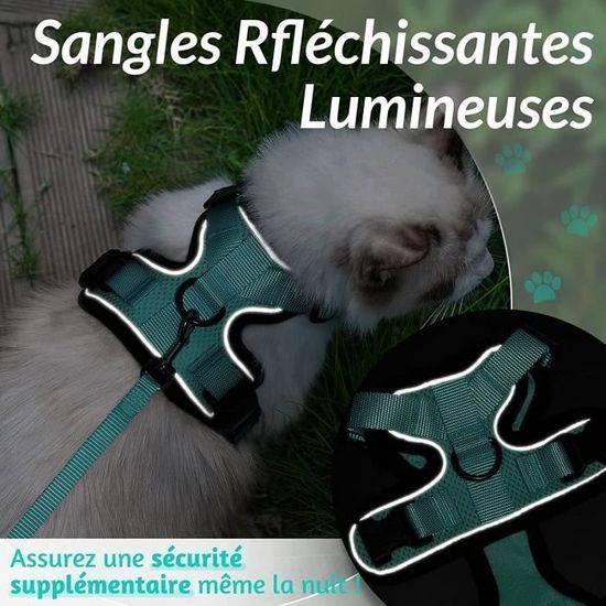 Harnais Chat Reglable Confortable Harnais Veste Pour Chat Reflechissant Avec Laisse Facile A Mettre Pour Chat Xs Vert Cdiscount