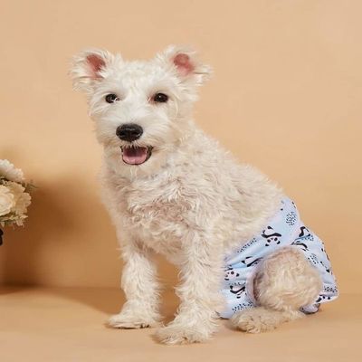 Mkouo Lot De 3 Couches Lavables Pour Chien Mâle (petite Et Moyenne Taille) - Bleu, Blanc, Jaune - Anti-fuite, Très Absorbantes