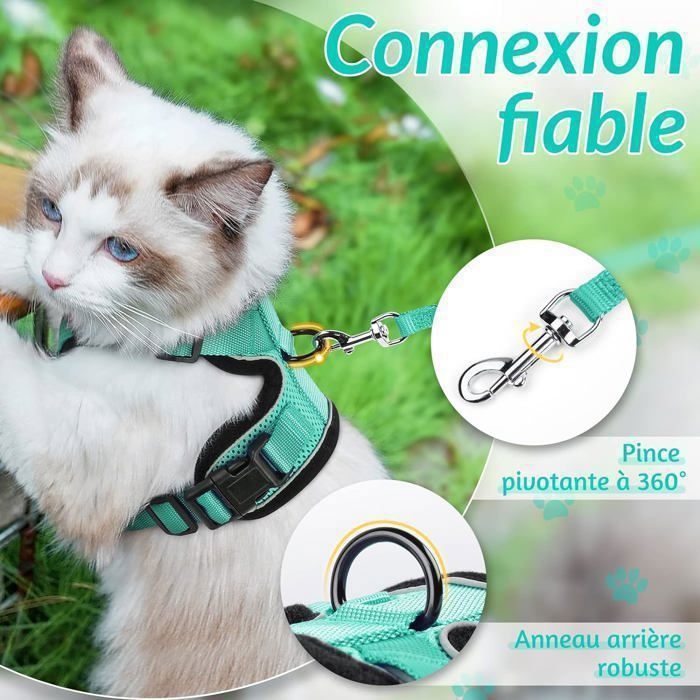 Harnais chat anti-fugue avec laisse - Harnais en Y anti-évasion