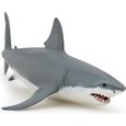 Figurine Requin - PAPO - L'UNIVERS MARIN - Blanc - Pour Enfant de 3 ans et plus-0