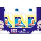MONSIEUR PROPRE Mr. Propre Professional Nettoyant Multi-Usages - 5 L