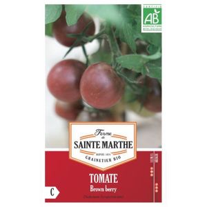 GRAINE - SEMENCE Graines bio de tomates - Cerise Brown Berry - Vari