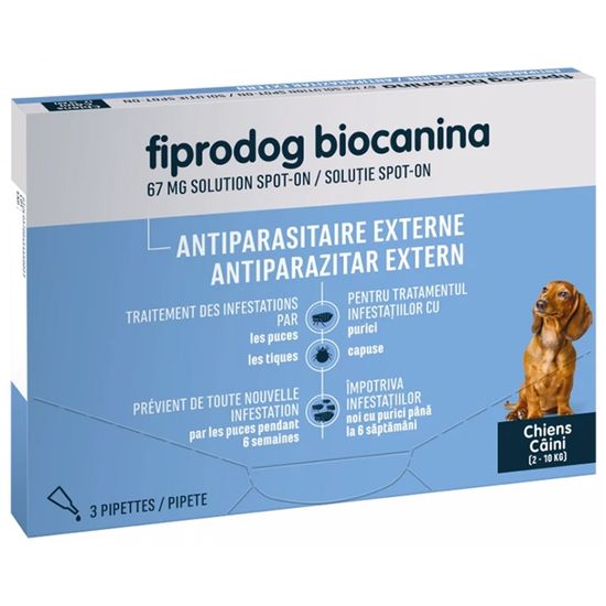 Blessure Impetueuse D Eczema Sur Le Veau De L Enfant Image Stock Image Du Impetueuse Blessure 64807071