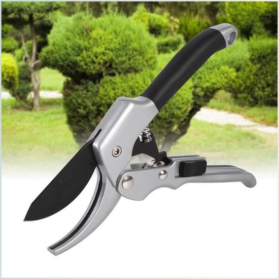 Ciseaux Bonsaï 180mm En Acier Inoxydable - Coupe-Branches Précis Pour Taille Et Entretien Des Bonsaïs