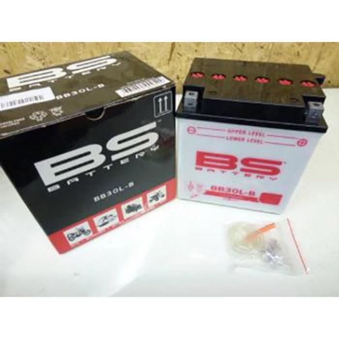 Batterie BS Batterie quad Arctic cat 100 ATV YB30L-B