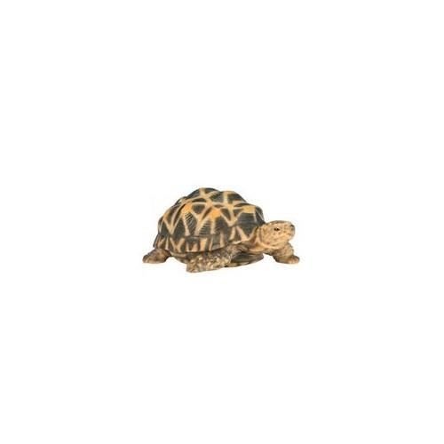 BEBE figurine TORTUE ETOILEE 14CM