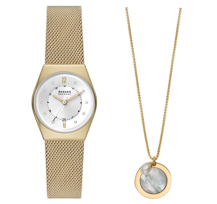 Montre Skagen - Femmes - SKW1152SET