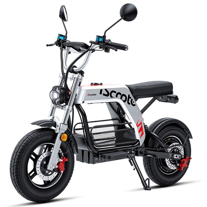 Trottinette Électrique Scooter DX5 PRO 52V 20Ah Autonomie 90km Pneus Fat 17 Argent