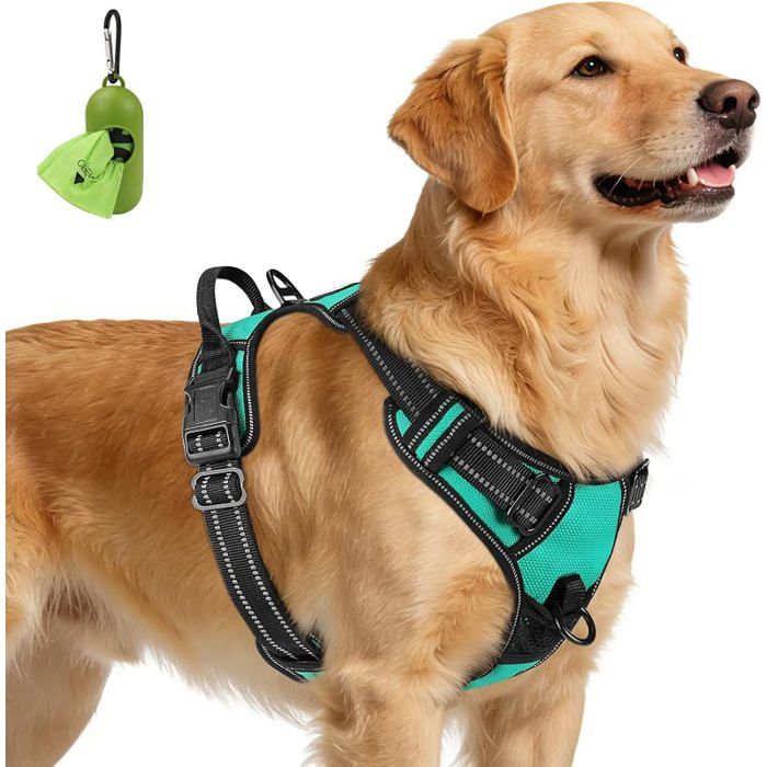 Anti Traction Harnais Très Grand ChienTurqoiseXL  Coupe ajustée régblerembourré Turqoise XL (Lot de HARNAIS DE SPORT POUR CHIEN