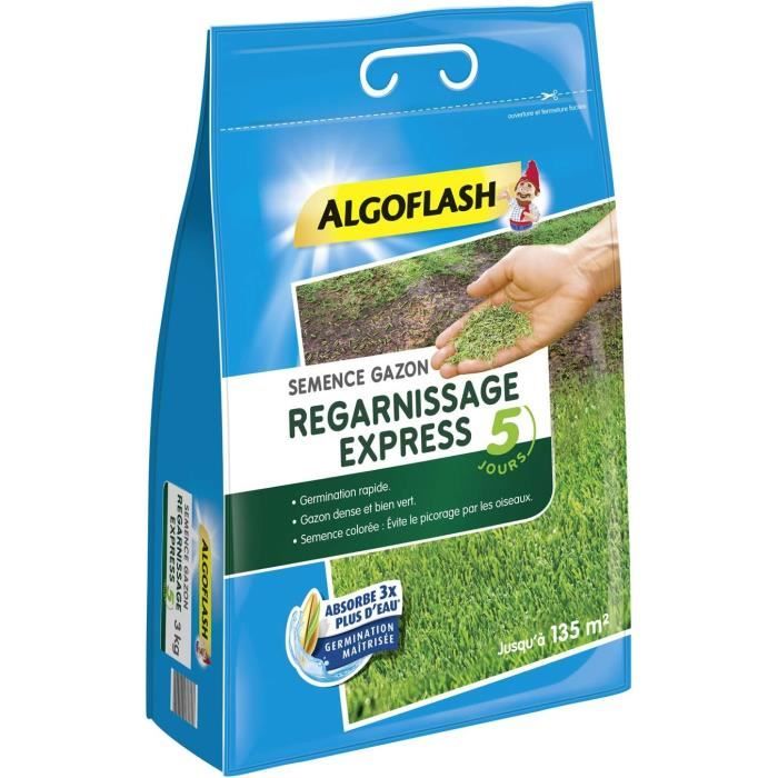 Semence Gazon ALGOFLASH Regarnissage Express - 3kg Pour 135m² - Ray-Grass Anglais - Anti-Oiseaux