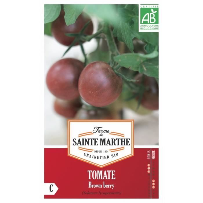 Graines bio de tomates - Cerise Brown Berry - Variété de tomates cerises noires