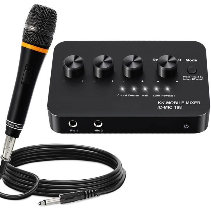 Grande machine à karaoké de FanFun avec 2 microphones, haut-parleur d