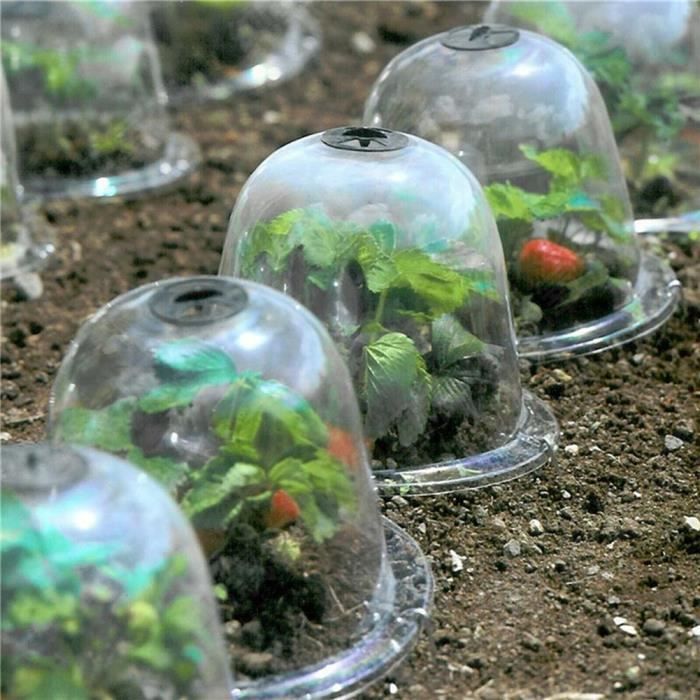 Cloche De Jardin En Plastique Réutilisable, 10 Pouces, Couverture De Plantes En Dôme, Protection Contre Le Ge