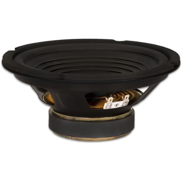 Driver Audio 8 Ohm Woofer Goldwood Sound GW-210/8 Da 10 Pollici - 220W 8 Ohm Per Audio Professionale Altoparlante Dj Car Audio