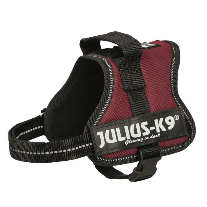 Harnais Power Julius-K9 - Mini - M : 51-67 cm-28 mm - Bordeaux - Pour chien