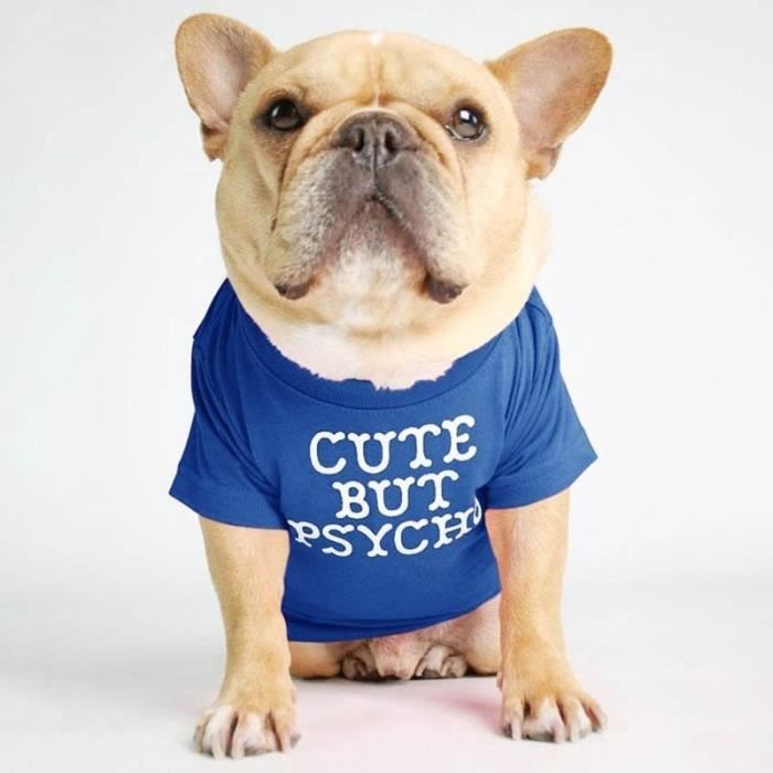 Tee shirt coton pour clearance chien