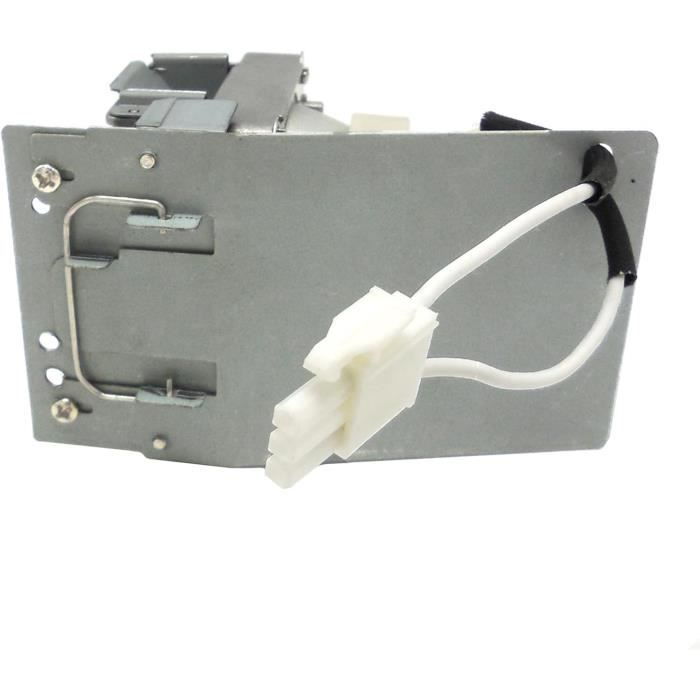 Lampe Projecteur Compatible 5811119560-SVV Pour Vivitek DW814 DW882ST DX813 - 240W 3000h