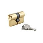 THIRARD - Cylindre de serrure double entrée, 20x20mm, anti-arrachement, 3 clés, laiton - THIRARD