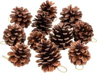 Pommes De Pin Naturelles - Lot De 30 - 3 Tailles (3-6 Cm) - Pour Décoration Noël, Artisanat, Centres De Table - 4