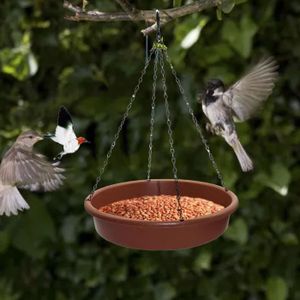 Oiseau Graines & Écrou Mangeoire Plastique Tenture Lanterne Food Jardin  Dévidoir