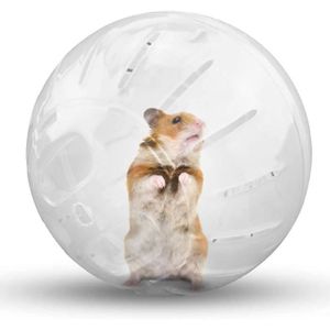ROUE - BOULE D'EXERCICE Roues D exercices Pour Petits Animaux - Voarge Bal
