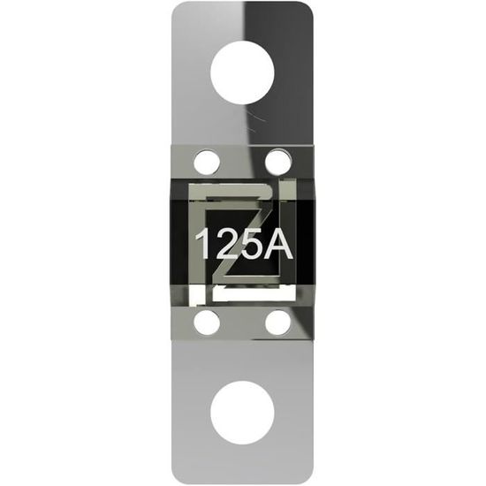 SIEMENS Lot De 5 Fusibles DIAZED 500 V 25 A