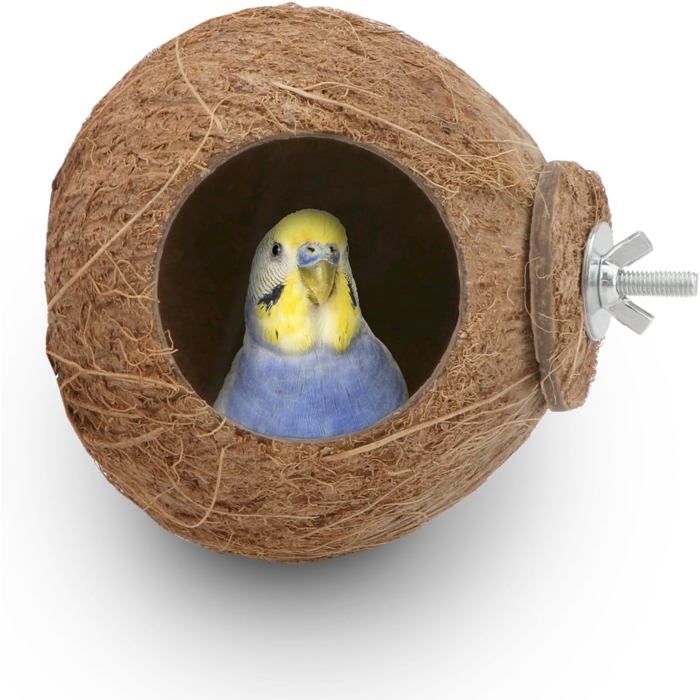 Nid de reproduction pour oiseaux de compagnie balançoire et échelle en noix de coco jouet suspendu pour oiseaux