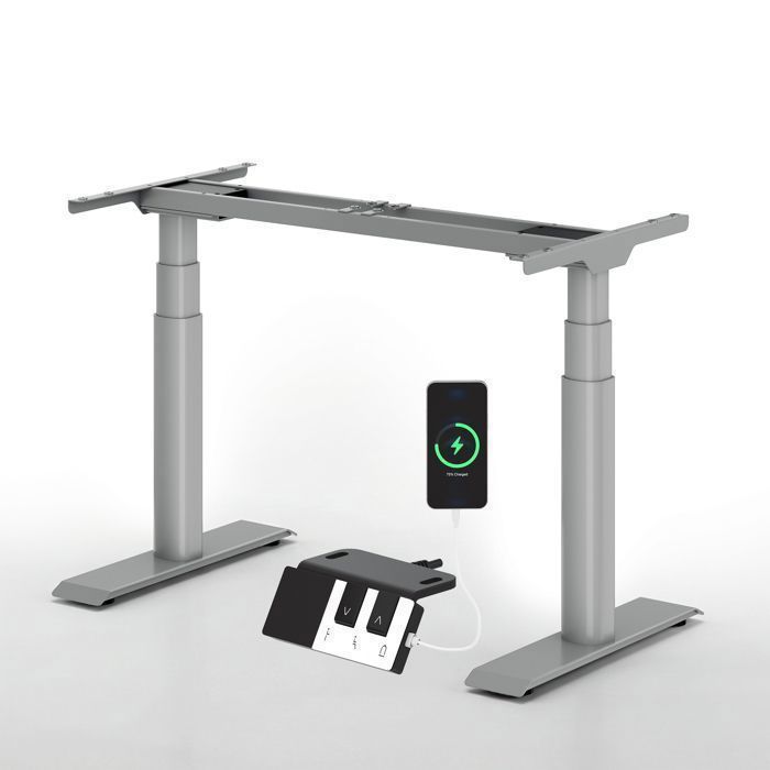 FlexiSpot Cadre De Bureau Assis-Debout Cadre Électrique À 2 Moteurs Commandes Style Piano Charge à 200 KG Gris
