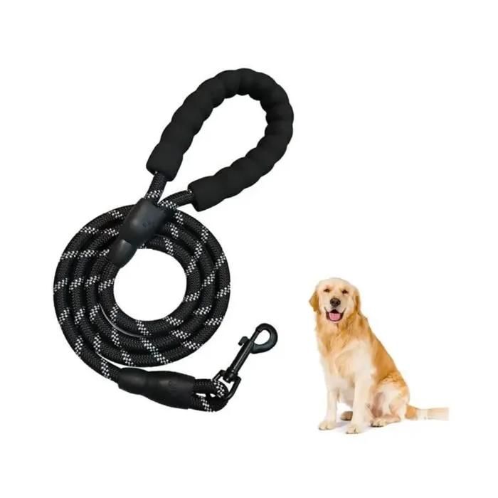 Laisse Chien - 3M - 3m - Nylon Résistant - Poignée Rembourrée - Réfléchissante Laisse Chien - 3M - 3m - Nylon Résistant - Poignée Rembourrée - Réfléchissante