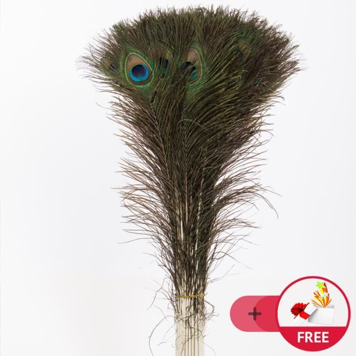 50pcs 80 90cm Vraies Plumes De Paon Naturelles Décoration De Maison Mariage Etc Achat Vente Plume De Déco 50pcs 80 90cm Vraies Plumes Cdiscount