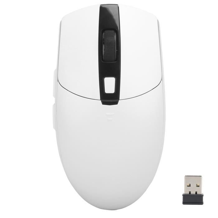 Souris Sans Fil 2.4G - 1200 DPI - Format Bureau - NEUVE - Générique